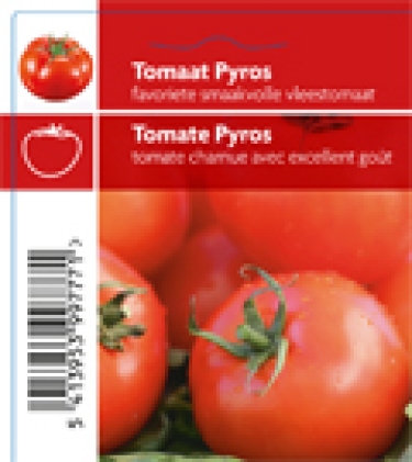 Tomaat Pyros (tray 12 pot)